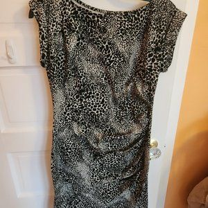 Ann Taylor Knit Dress